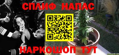 ПСИЛОЦИБИНОВЫЕ ГРИБЫ Бугуруслан